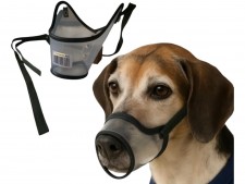 Focinheira Cães NÚMERO - 1  Focinheira Cães NÚMERO - 1